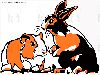 Filename=S29_Meerschweinchen.gif
Filesize=54KiB
Dimensions=540x410
Date added=Oct 22, 2007 S29_Meerschweinchen.gif