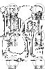 Filename=cart_ferien_99_19.gif
Filesize=24KiB
Dimensions=276x421
Date added=Oct 22, 2007 cart_ferien_99_19.gif