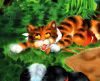 Filename=katze.jpg
Filesize=82KiB
Dimensions=347x282
Date added=Jun 13, 2007 katze.jpg
