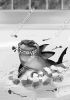 Filename=HappyEnd_sw.jpg
Filesize=127KiB
Dimensions=425x600
Date added=Jan 23, 2013 HappyEnd_sw.jpg