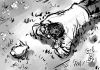 Filename=2006_rough_bw_ferrero_06.jpg
Filesize=73KiB
Dimensions=585x414
Date added=Mar 15, 2016 2006_rough_bw_ferrero_06.jpg