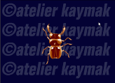 Filename=bugs_run_I_LOVE_YOU.swf
Filesize=7KiB
Dimensions=0x0
Date added=Apr 05, 2007 bugs_run_I_LOVE_YOU.swf