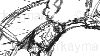 Filename=stbrd_rasen_rough-(15).gif
Filesize=13KiB
Dimensions=320x180
Date added=Jun 15, 2009 stbrd_rasen_rough-(15).gif