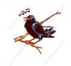 Filename=kinderbuch_Vogel_Amsel.jpg
Filesize=32KiB
Dimensions=780x732
Date added=Nov 26, 2014 kinderbuch_Vogel_Amsel.jpg