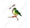 Filename=kinderbuch_Vogel_Gruenfink.jpg
Filesize=25KiB
Dimensions=780x732
Date added=Nov 26, 2014 kinderbuch_Vogel_Gruenfink.jpg