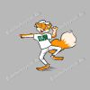 2015_mascot_fox_10.jpg